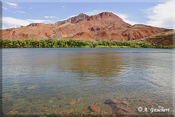 Colorado River bei Lees Ferry